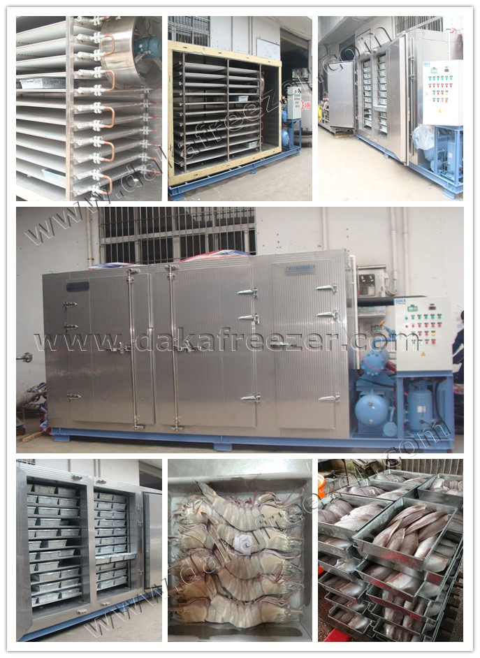 擱架式平板凍結(jié)機(jī) DPB-1000