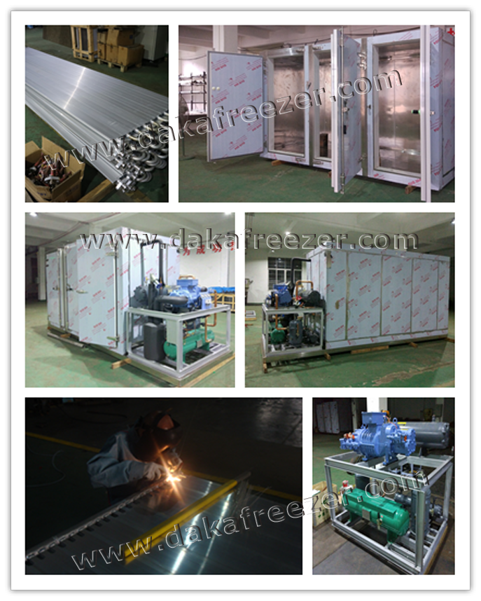 擱架式平板凍結(jié)機DPB-2000 擱架式平板凍結(jié)機DPB-2000